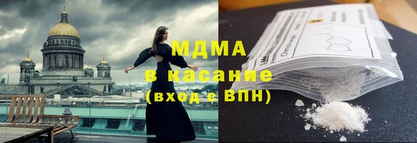 прущие грибы Верея
