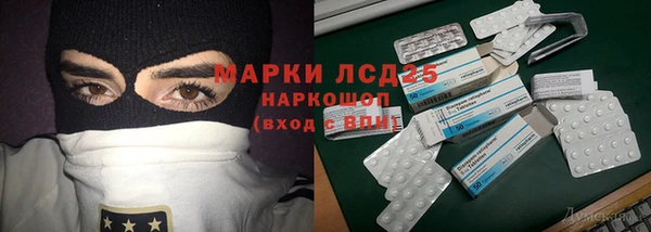 прущие грибы Верея