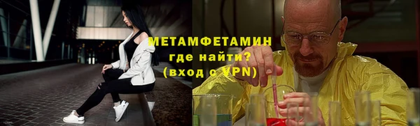 прущие грибы Верея