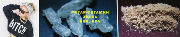 прущие грибы Верея