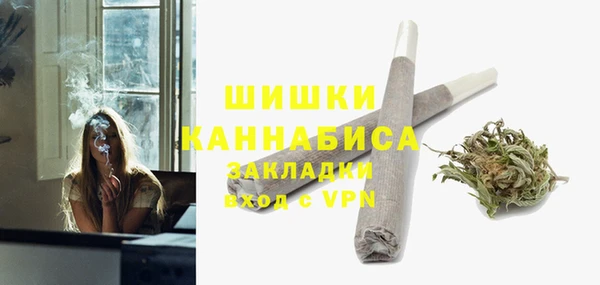 прущие грибы Верея