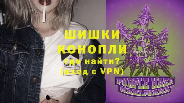 прущие грибы Верея