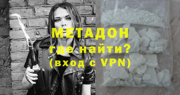 прущие грибы Верея
