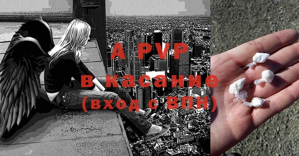 прущие грибы Верея