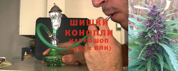 прущие грибы Верея