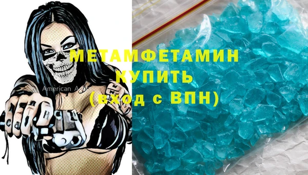 прущие грибы Верея