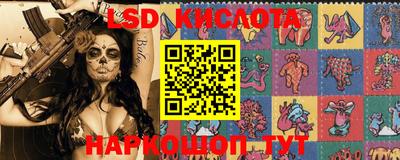 ECSTASY Кудрово
